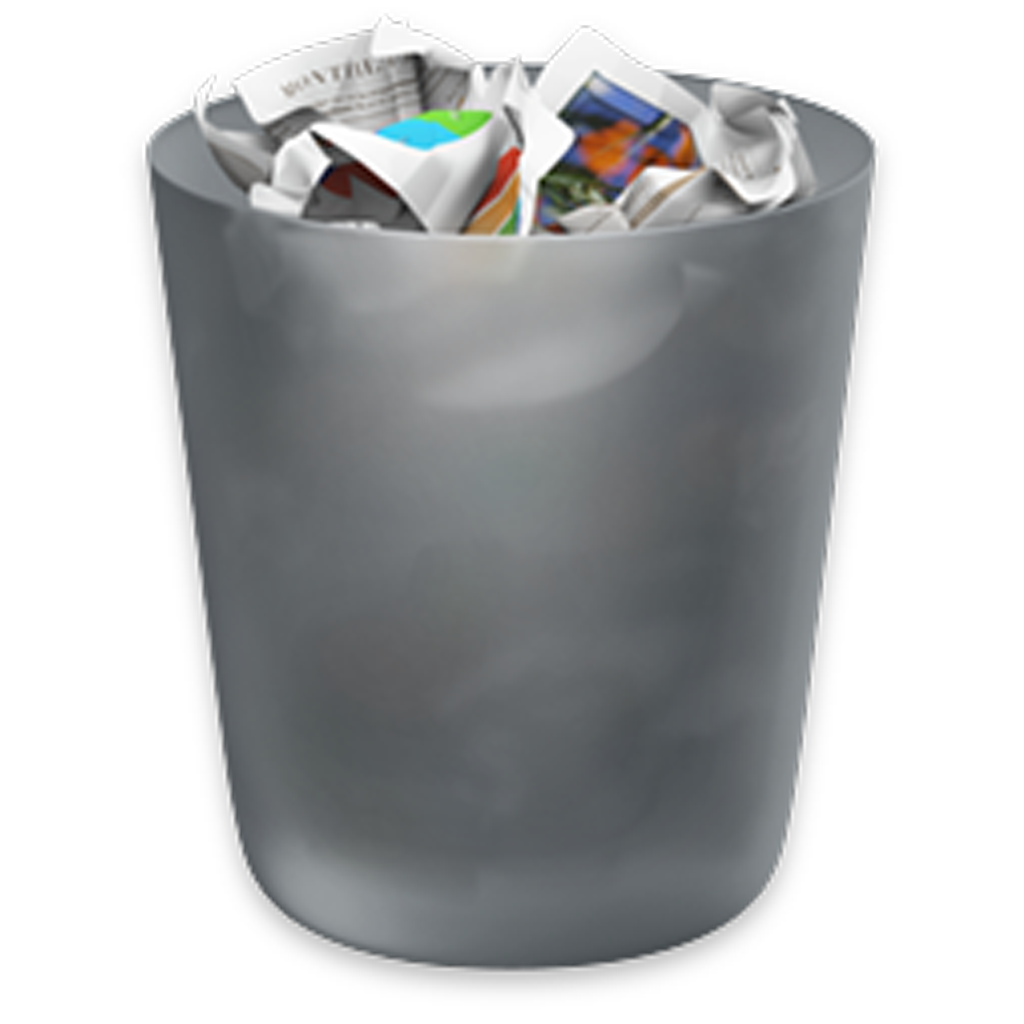 Bin Icon